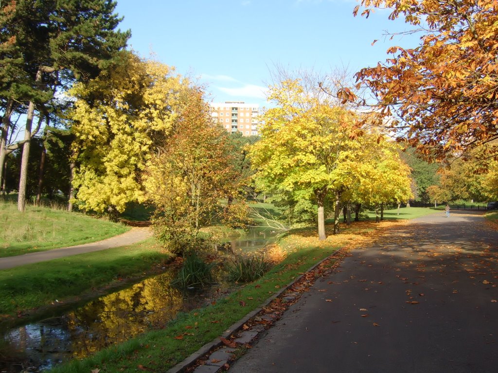 Autumn in the Park by karl59