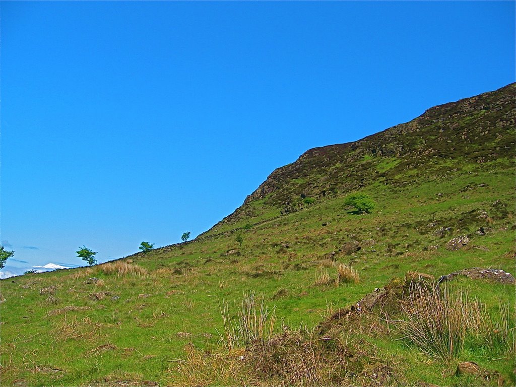 Slemish by Pastor Sam