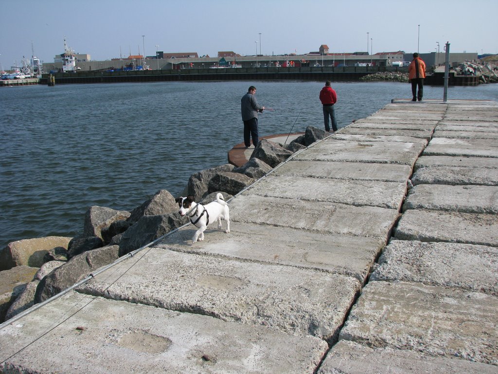 Hvide Sande Havn - lystfiskere by Bo Møller