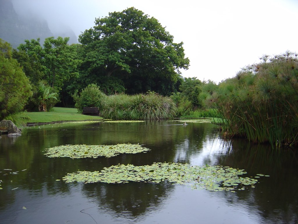 Kirstenbosch - Città del Capo by Giuseppe Caterina - …