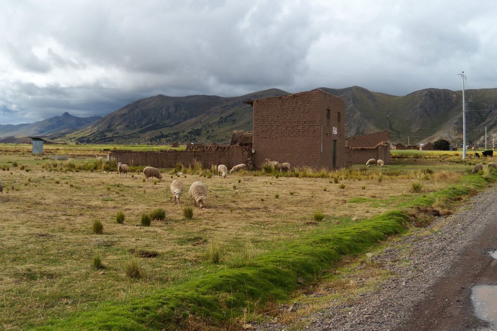 San Roman, Peru by José Mendoza