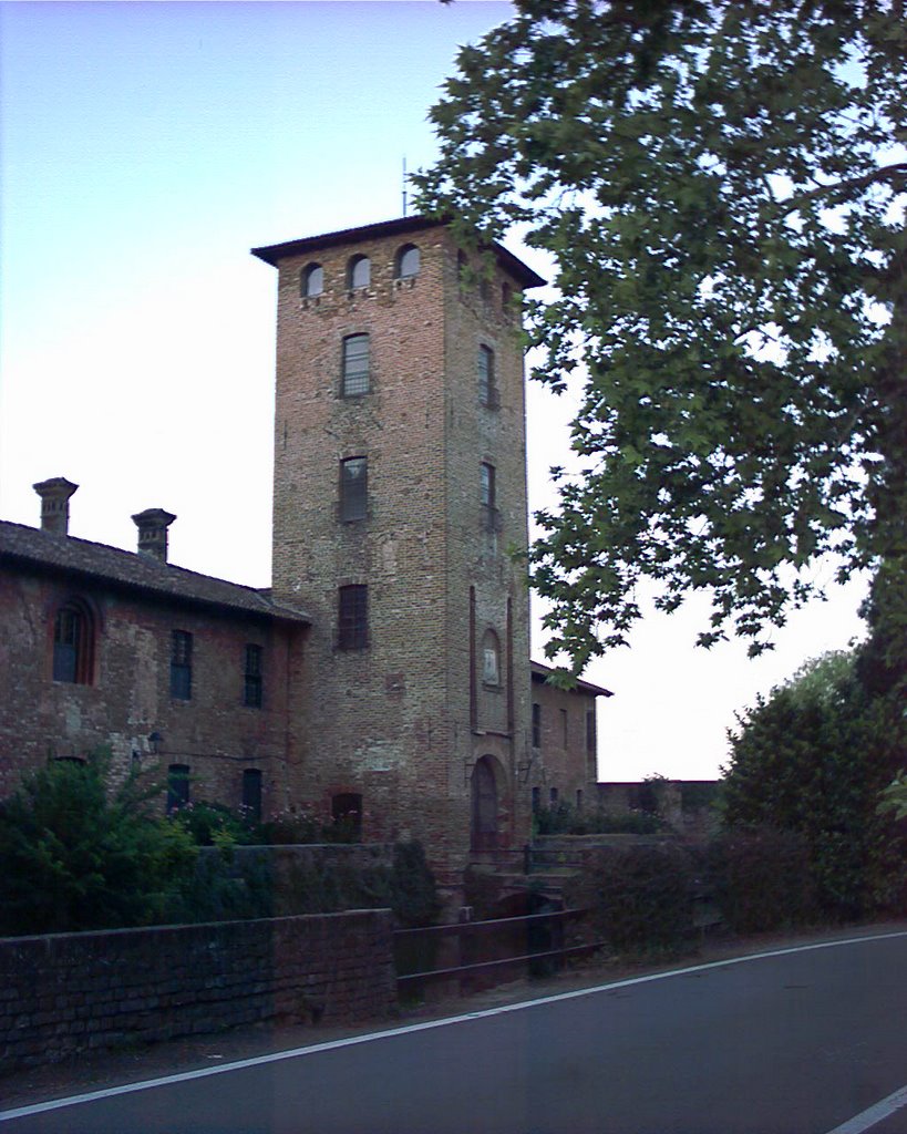 Castello Borromeo a Peschiera B. (MI) by malgimer