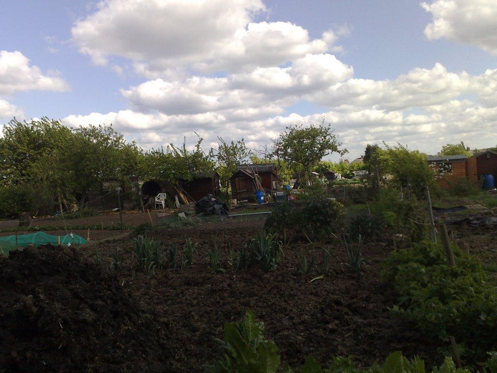 Rosamund Allotments 25 April 2009 Photo Number 32 by mysickbones