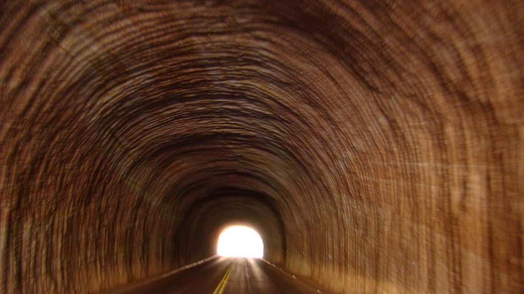 Inside Zion Tunnel by Salvador Arias