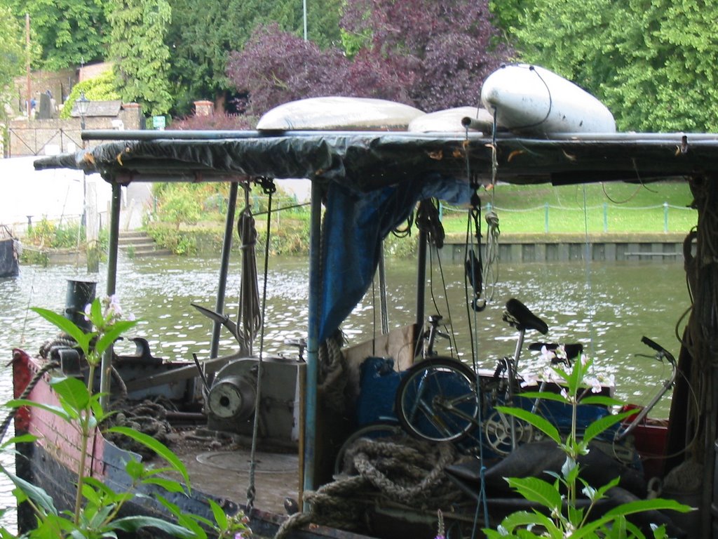 The life afloat, Thames embankment, Twickenham, Surrey, UK by David Ian Wilson