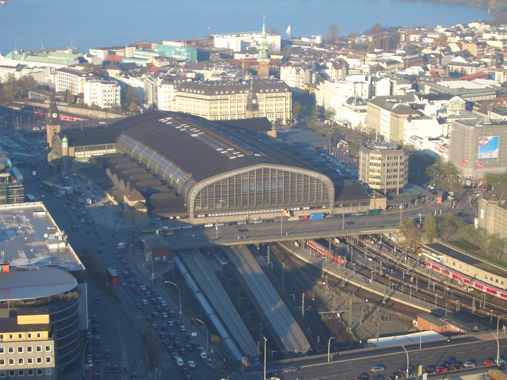 Hauptbahnhof by Blutvogel