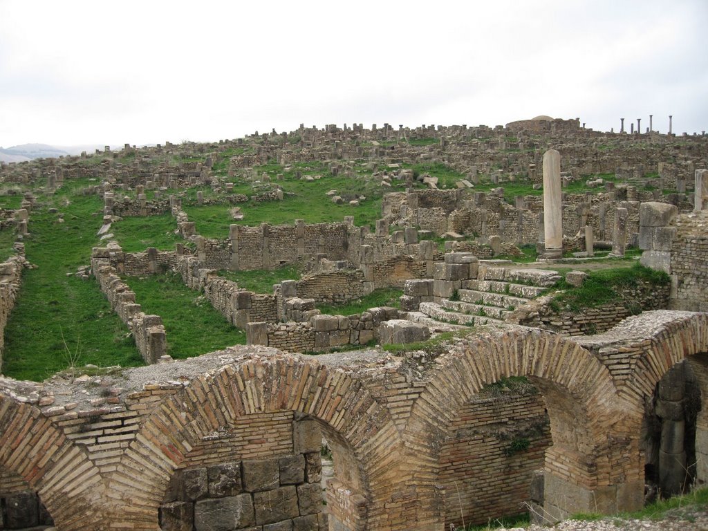 Roman Ruins at Djemila by travelphotoworld.org