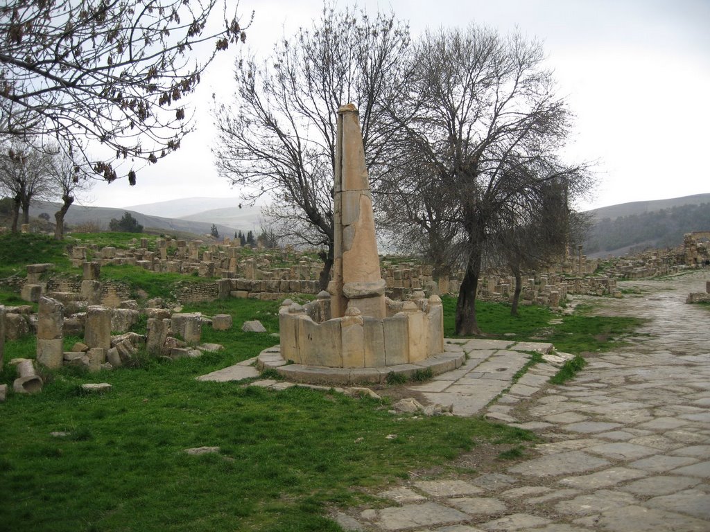 Roman Ruins at Djemila - Fontaine by travellersphoto.com