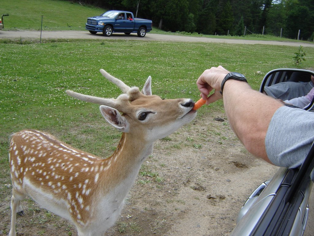 Omega Park July 7, 2007 by jomohunt