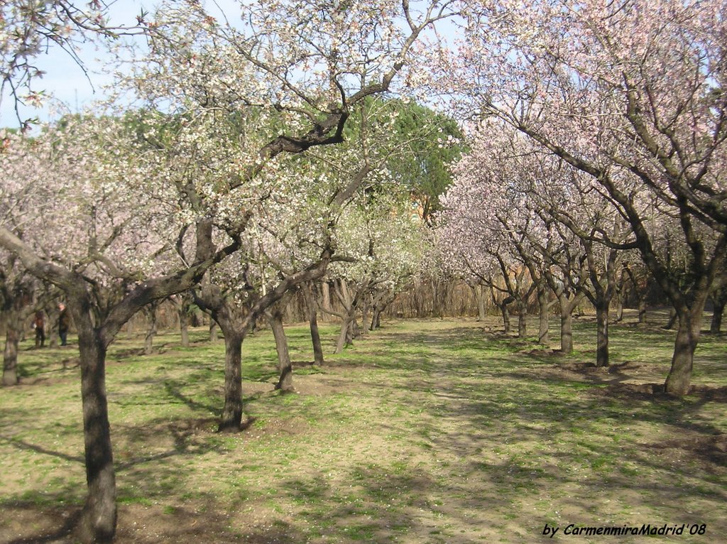 Quinta Los Molinos (1) by carmenmiramadrid >>NO VIEWS<<