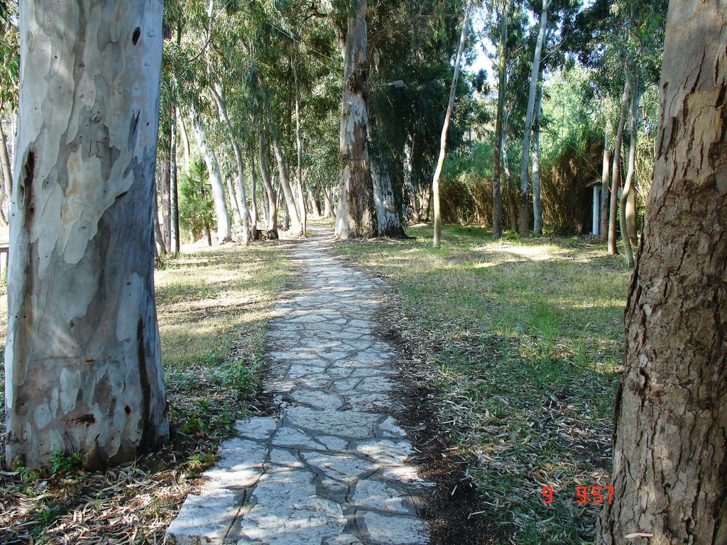 Κυανή Ακτή Πρέβεζα,Preveza ,Greece by Στρατής,Stratis