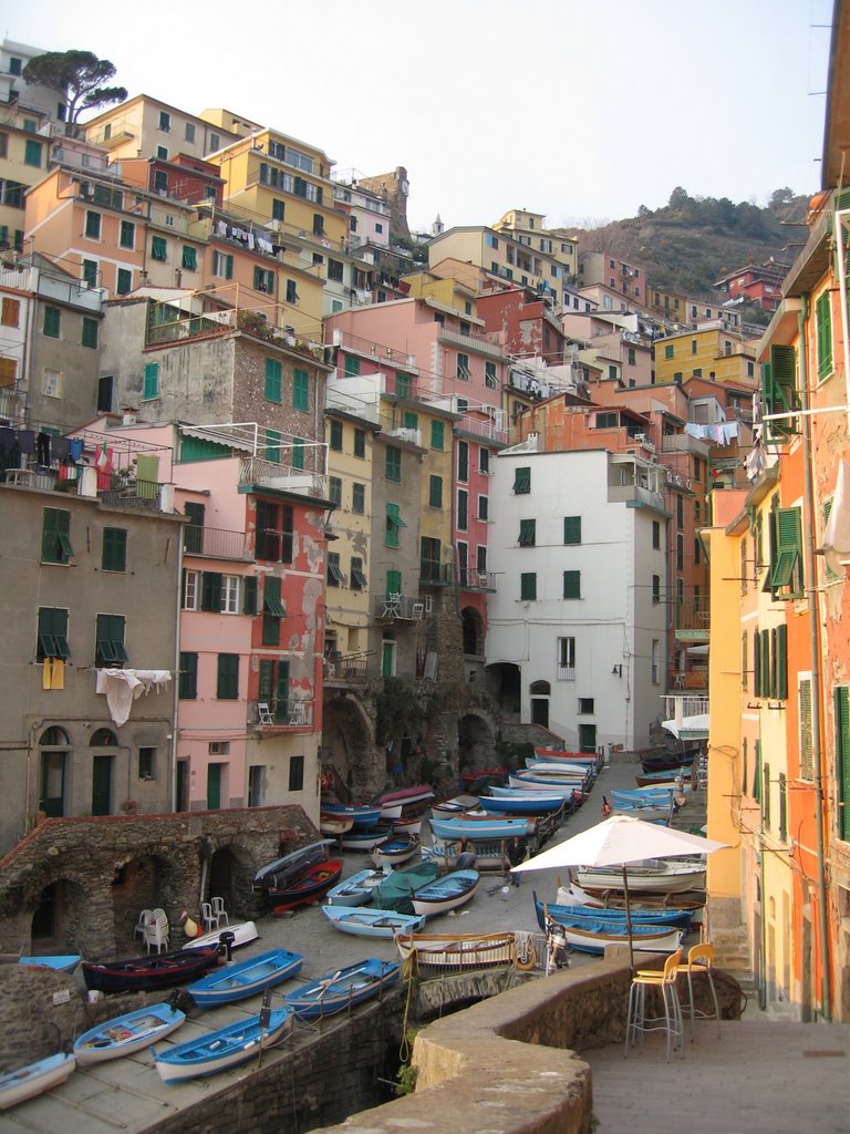 Riomaggiore by clive stott