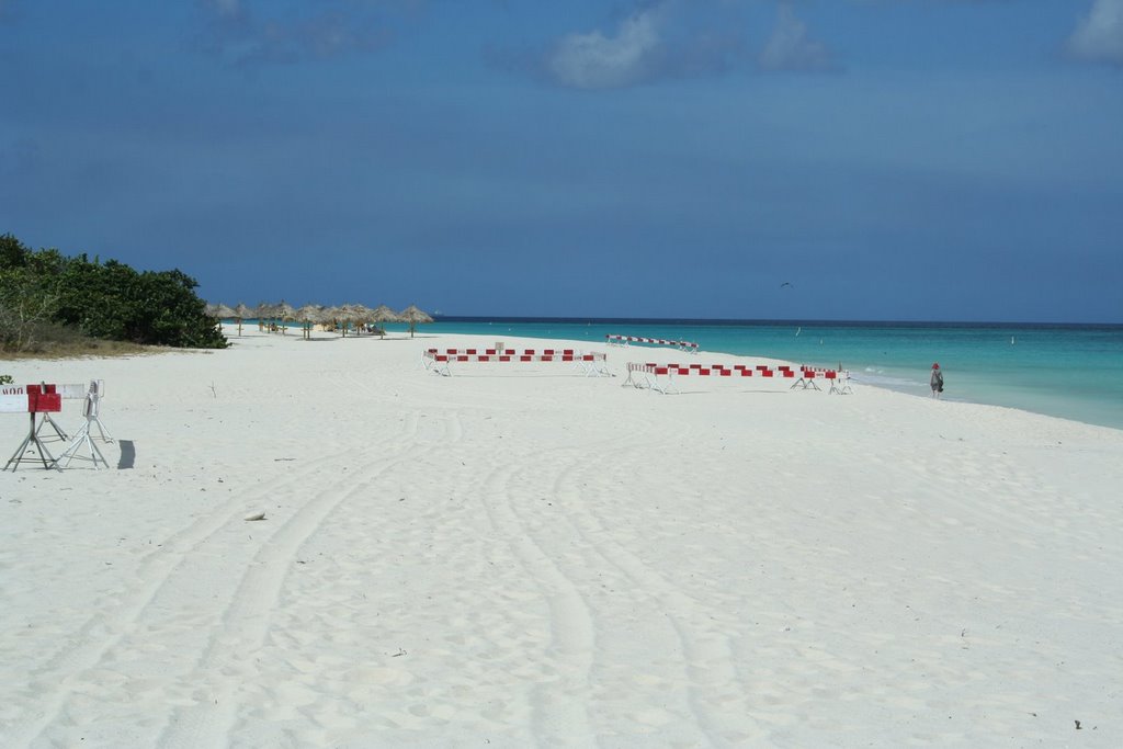 Seaturtle Nesting Sites at Eagle Beach by Wim de Vries