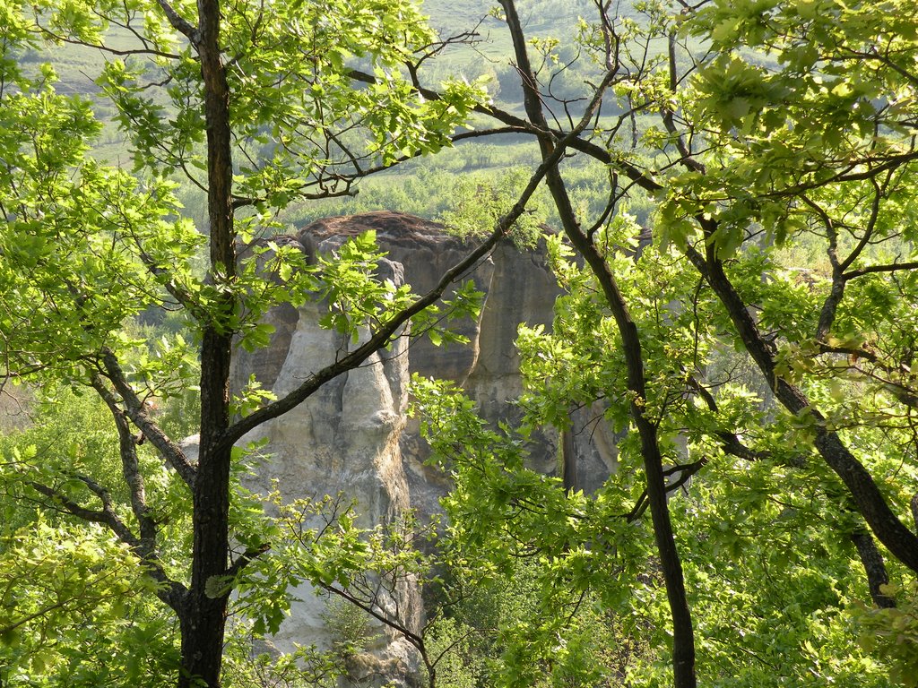 The Dragon's seen from the bush by Eligiu