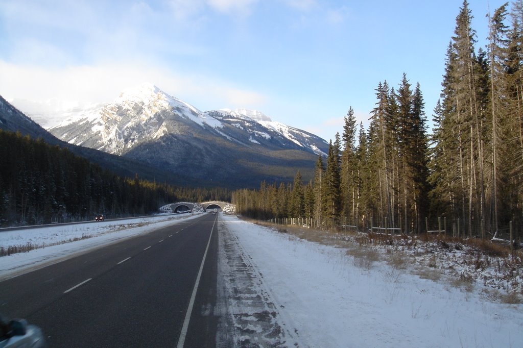 Tunnel on Trans Canada Highway by DieselDucy