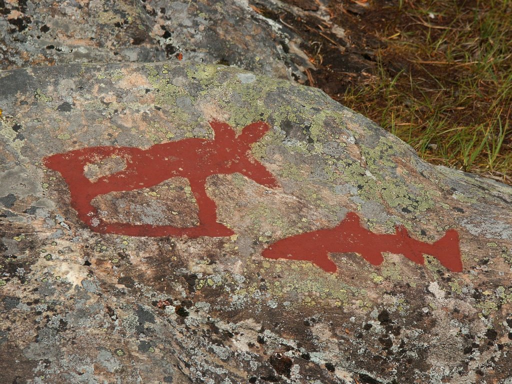 Nämforsen rock carvings 4000 bc by Patricia Hiele