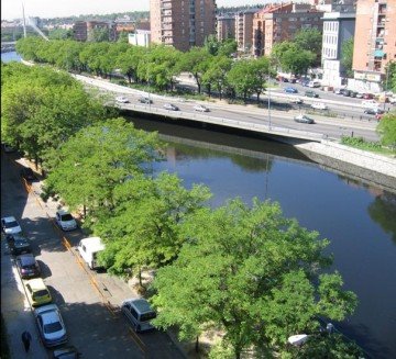 ÁRBOL, MUERE AQUÍ 3 (un trocito de la M-30 MADRID cuando era más verde) by SUAVIA/Miguel 1