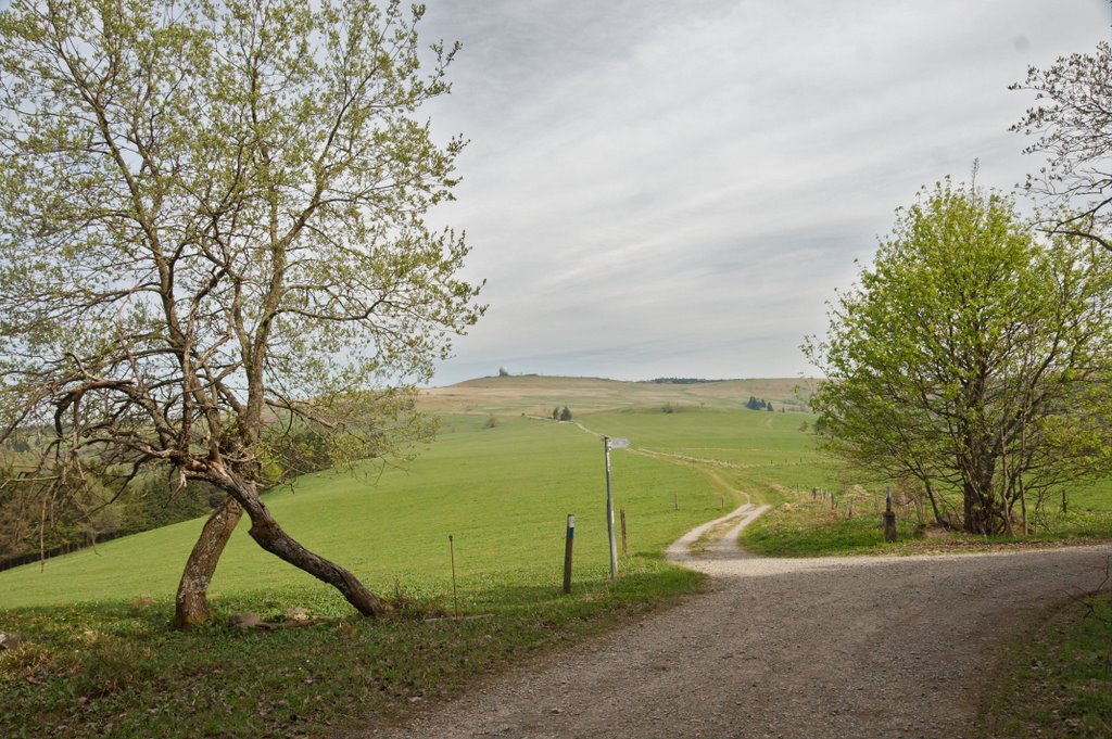 Weg zur Wasserkuppe by stollem