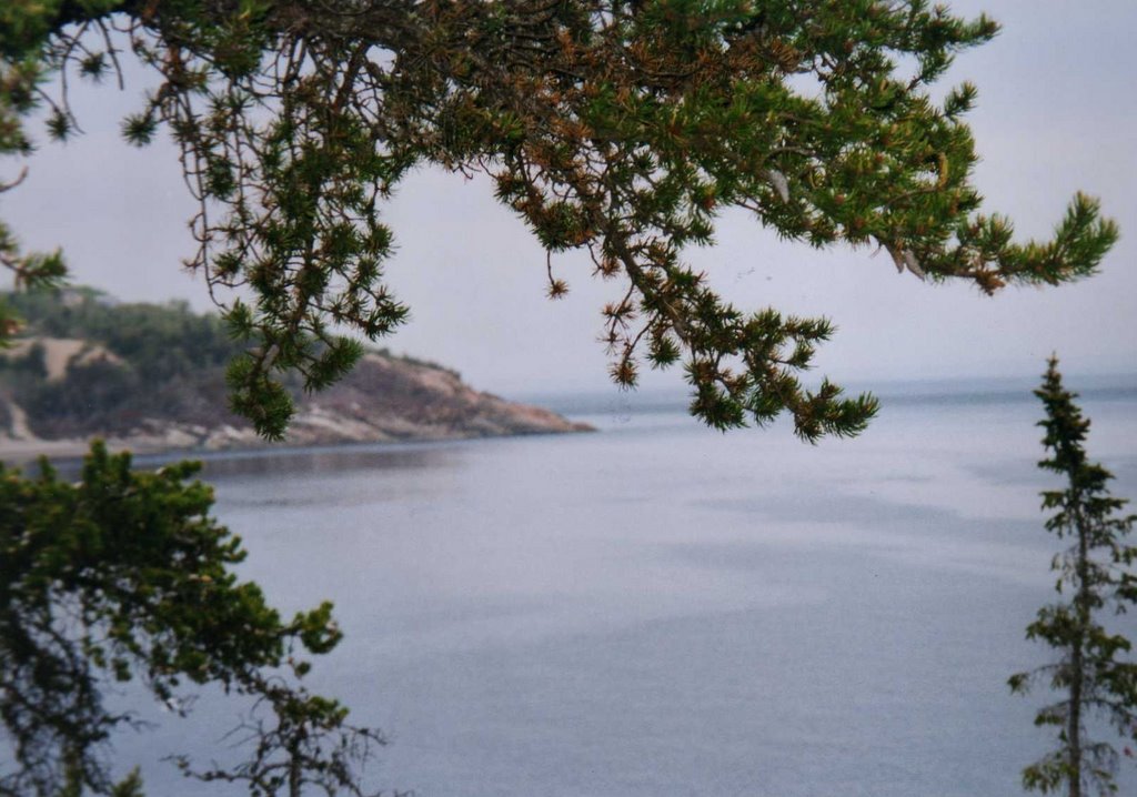 Tadoussac Bay by Neuner78