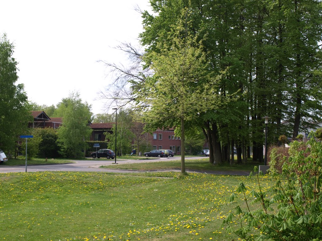 Woonbuurt "Het Berkenbos" van FARO Architecten in Lisserbroek en Oeken. by Hans R. van der Woud…