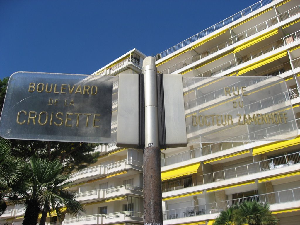 Street sign in Cannes by G.M. Kowalewska