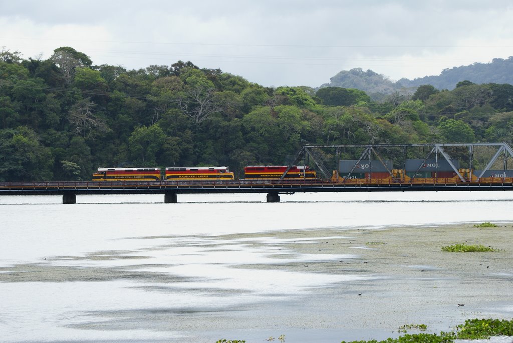 Panama-train-TeRo8 by Rutto76