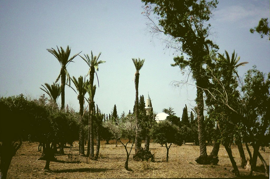 Hala Sultan Tekke by Kallaschek Robert