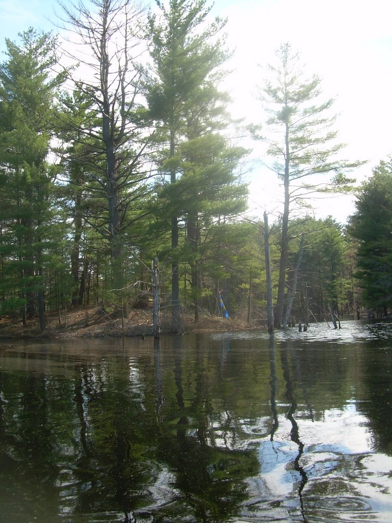 Little stockholm, westford by Favourite Fallen Idol