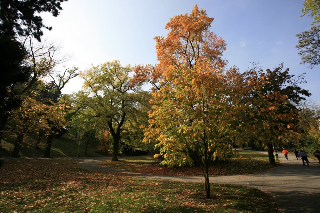 Turkenschanzpark by Drewschen