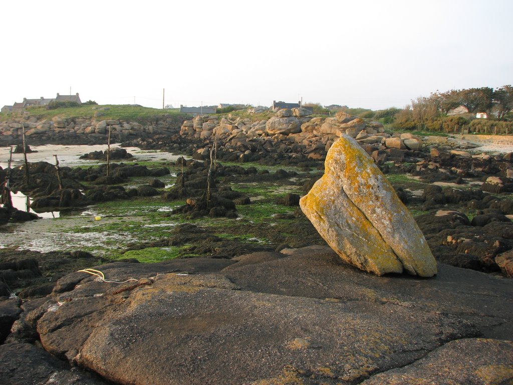 Petit port près de Porspoder. Des piquets de chêne servent encore de point d'amarrage : Très rare ! (4) by Eric DESRENTES