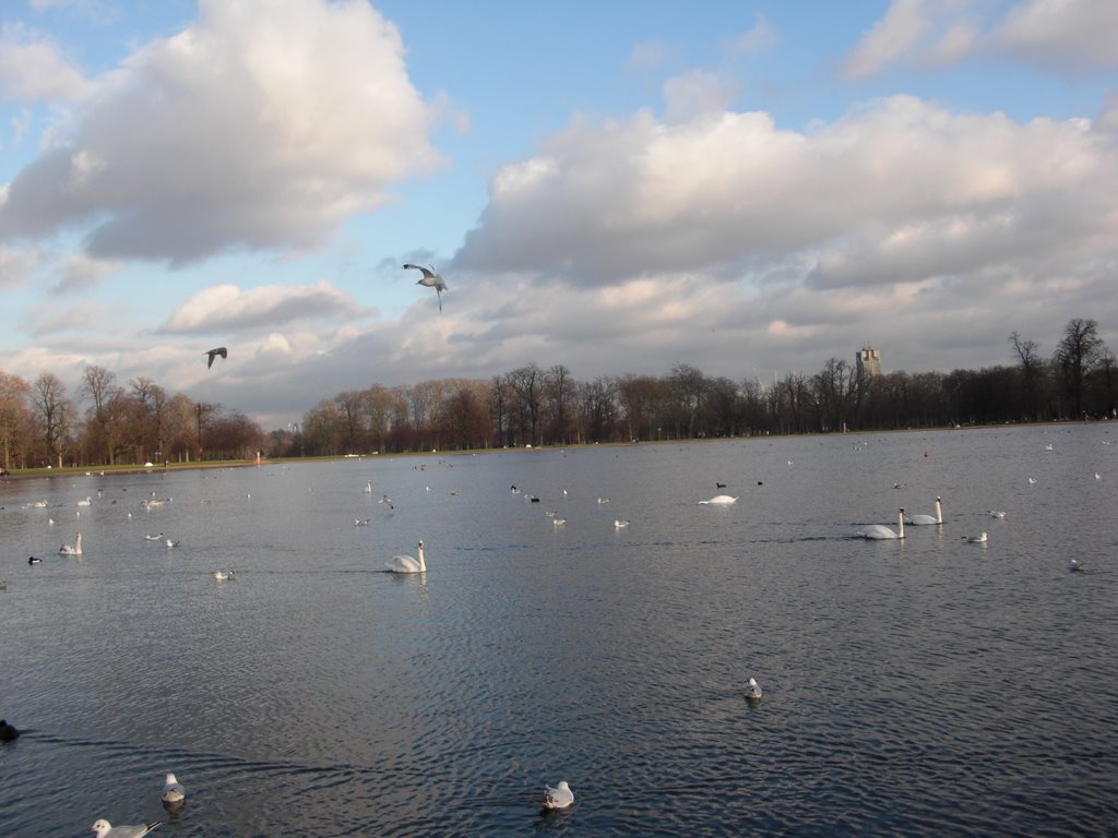 Kensington Gardens, London by Stephanie Ast