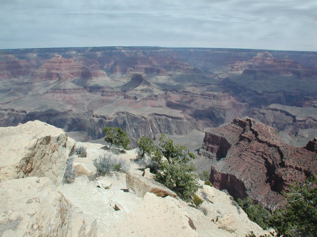 Grand Canyon NP, AZ View 5 by James Comperchio