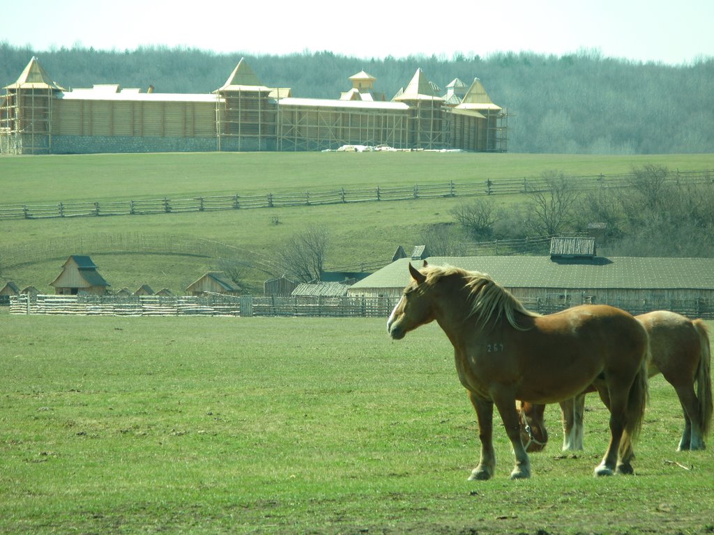 Zadonsky District, Lipetsk Oblast, Russia by Valkorv