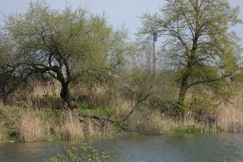 Dobrzelin - Stawy wiosną by Barbara Marciniak