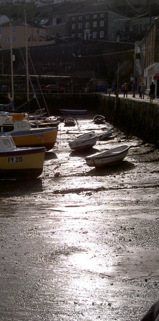 MEVAGISSEY HARBOUR by Jerry Desmond