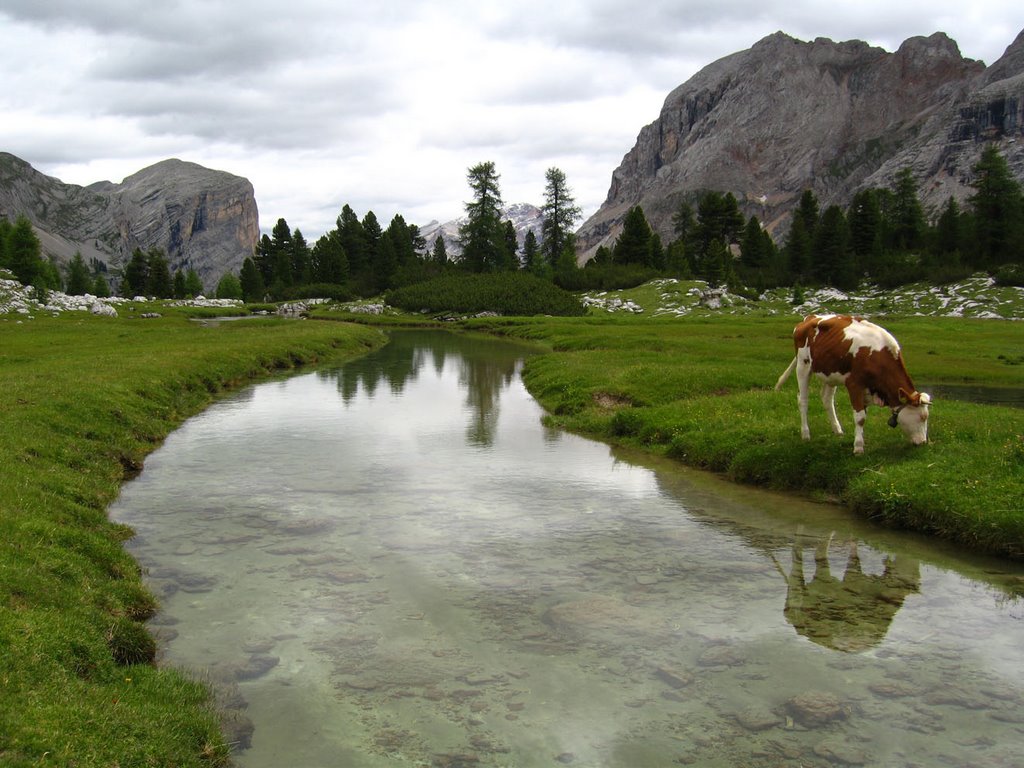 Pascolo (Alto Adige) by ANDREA GERVASONI