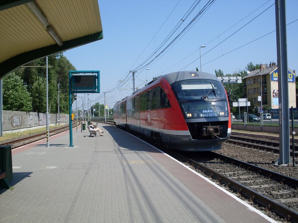 Suburban railway;Stop Kaszásdűlő("Scythe Baulk") with Đesiro,26th April,'09;11:26 by Aeslan