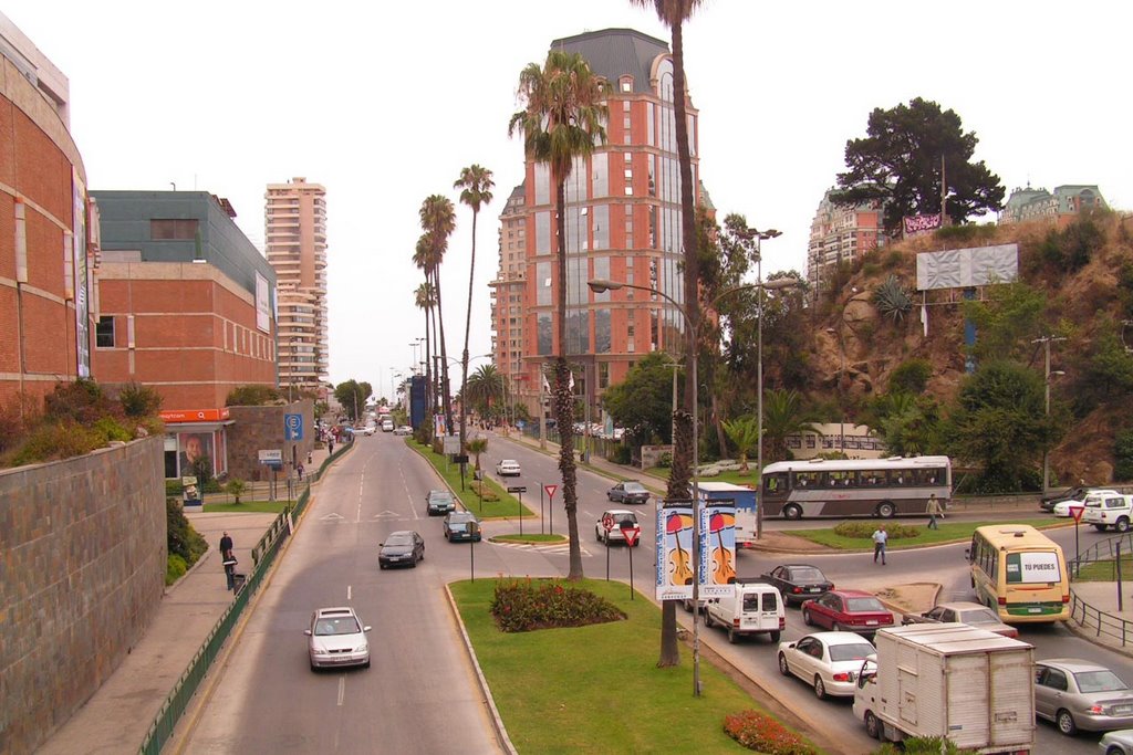 Avenida Benidorm by PedroBoris