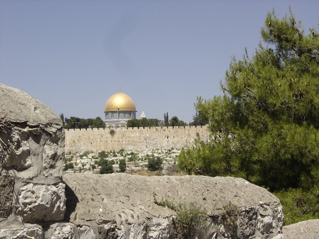 Temple Mount Israel by Fernando Sepulveda