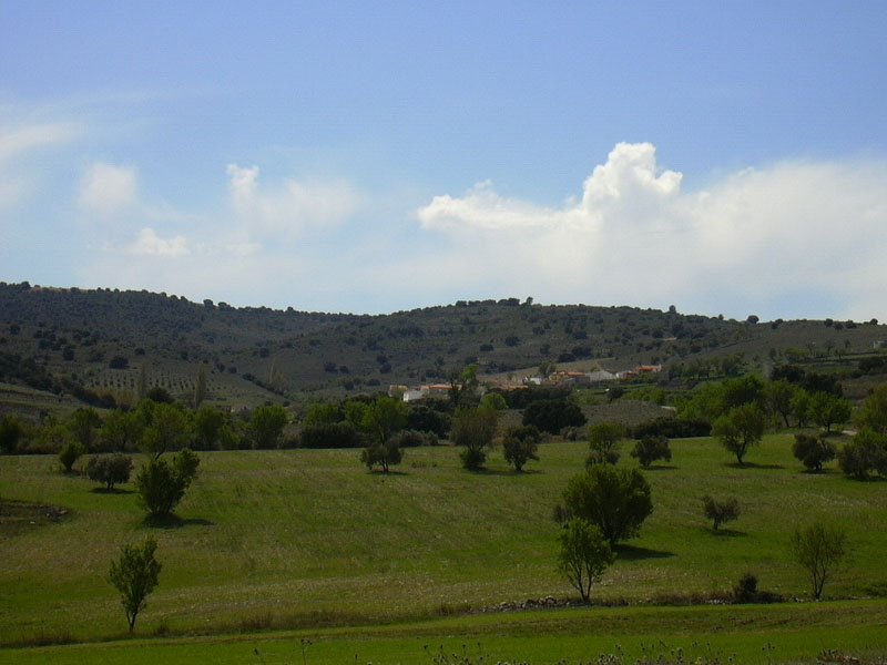 Campos en Peñarrubia by jnav80