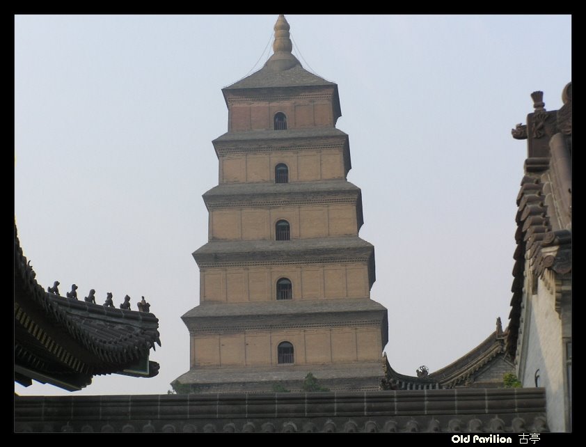 대안탑 Giant Wild Goose pagoda 大雁塔 by oldpavilion