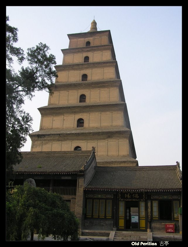 대안탑 Giant Wild Goose pagoda 大雁塔 by oldpavilion