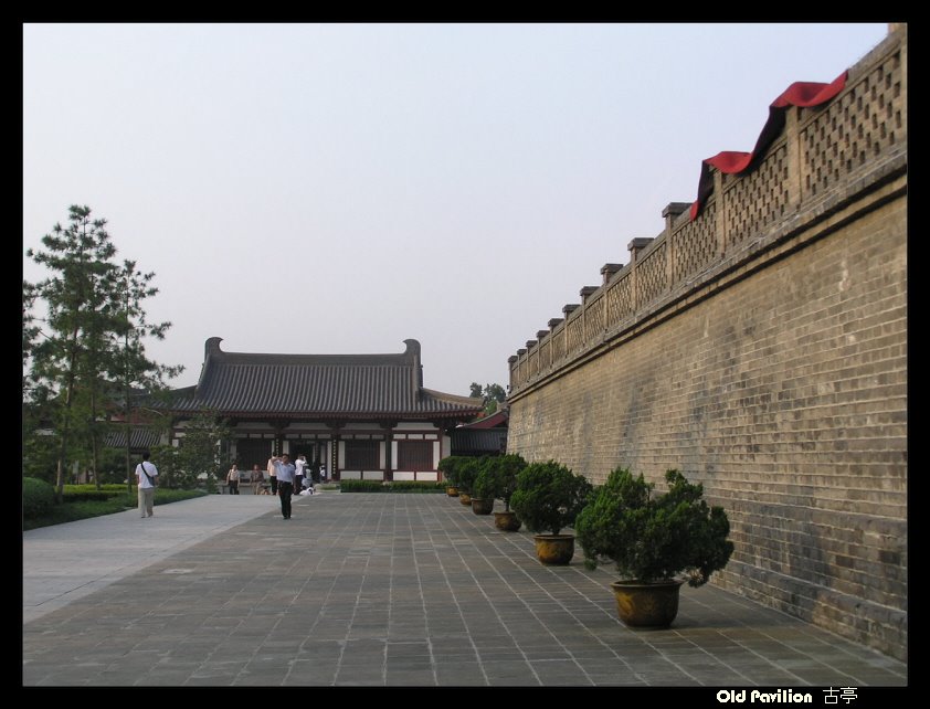 대안탑 Giant Wild Goose pagoda 大雁塔 by oldpavilion