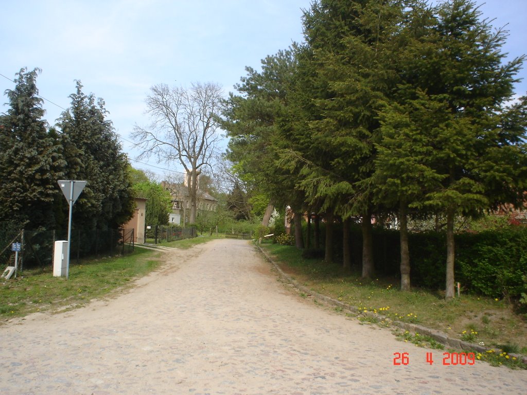 Straße zum Schloss by André Wahl