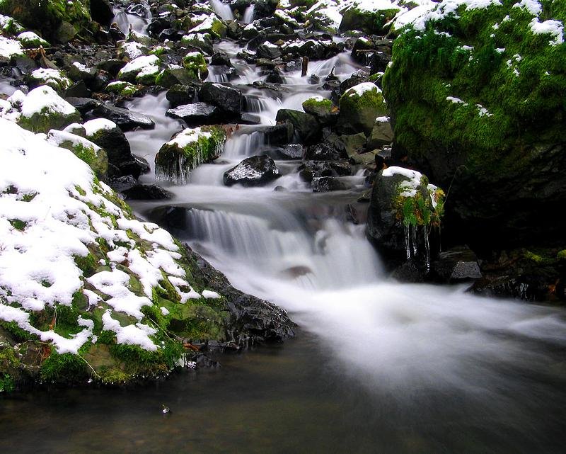 Starvation Creek by Aaron Nuffer