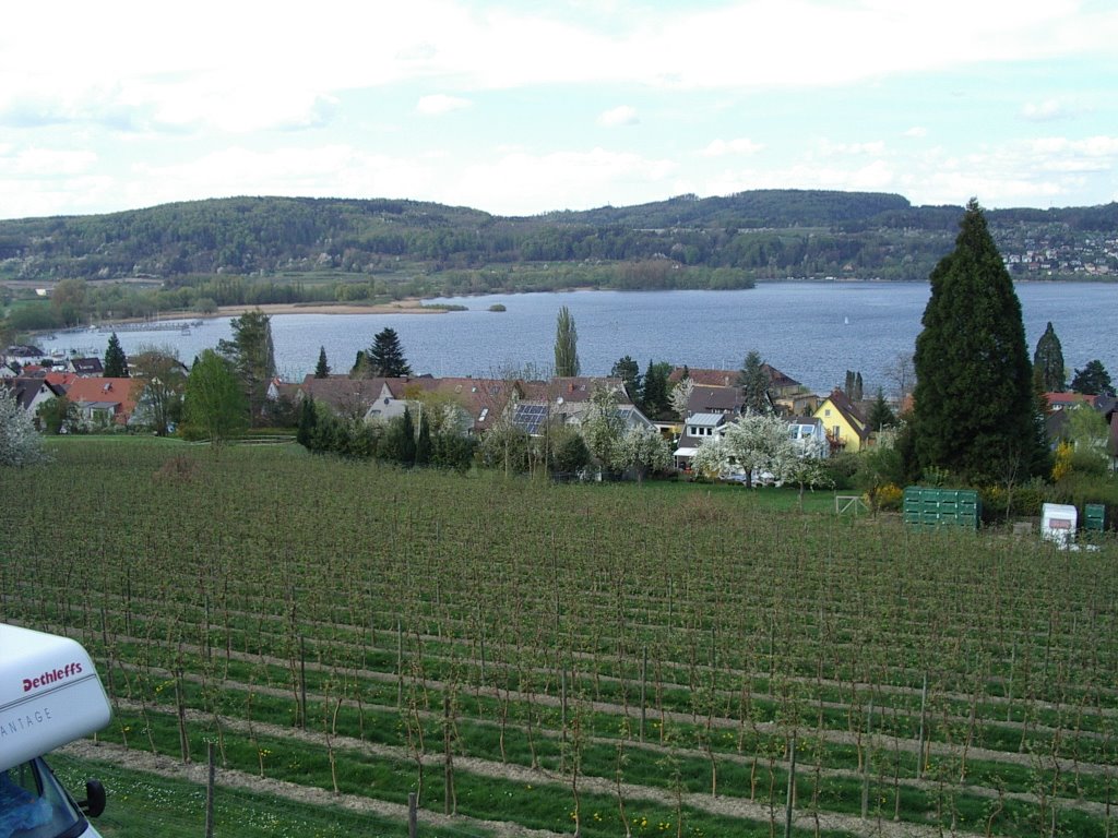 Blick über Bodman zum Ende vom Überlinger See by urmele