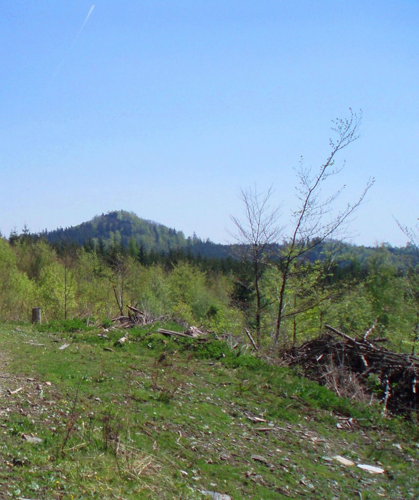 Rabštejn-zřícenina skalního hradu z přelomu 13.-14.století by čertíkbertík