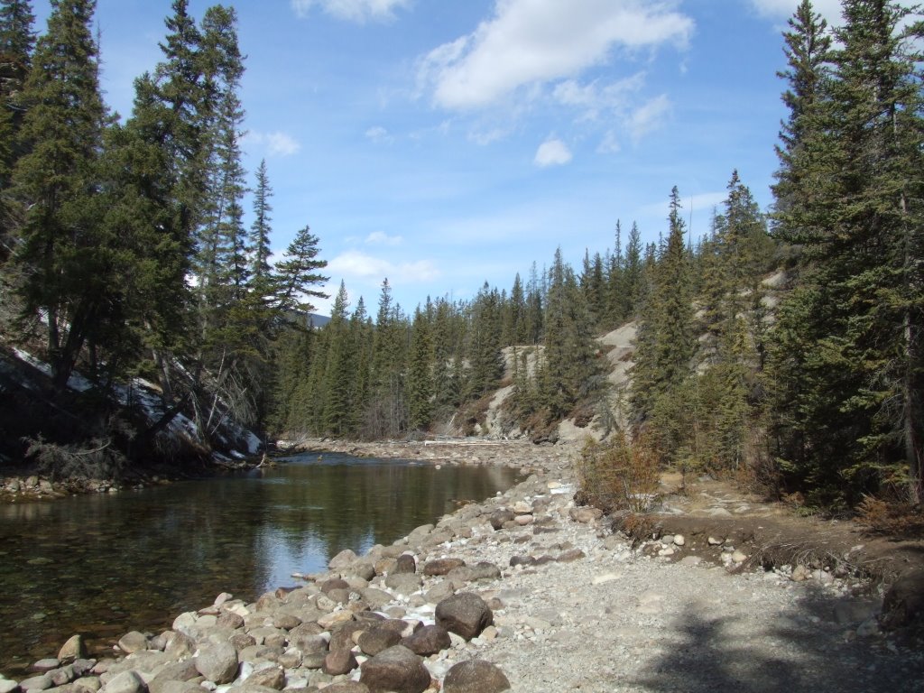 Maligne River by ronalfredo