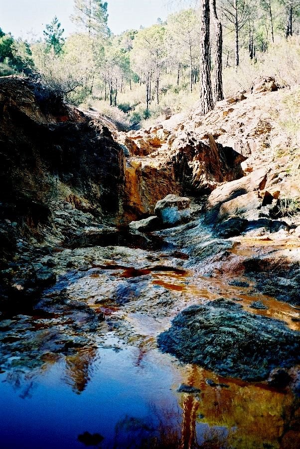 Nacimiento del Río Tinto (Huelva) by Fran J