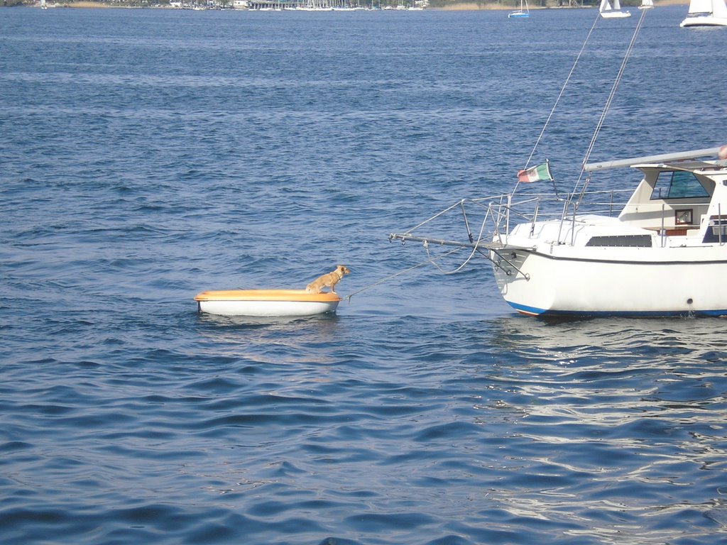 Ad ognuno la sua barca ! by bergo marco